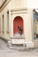 IMG_1934
